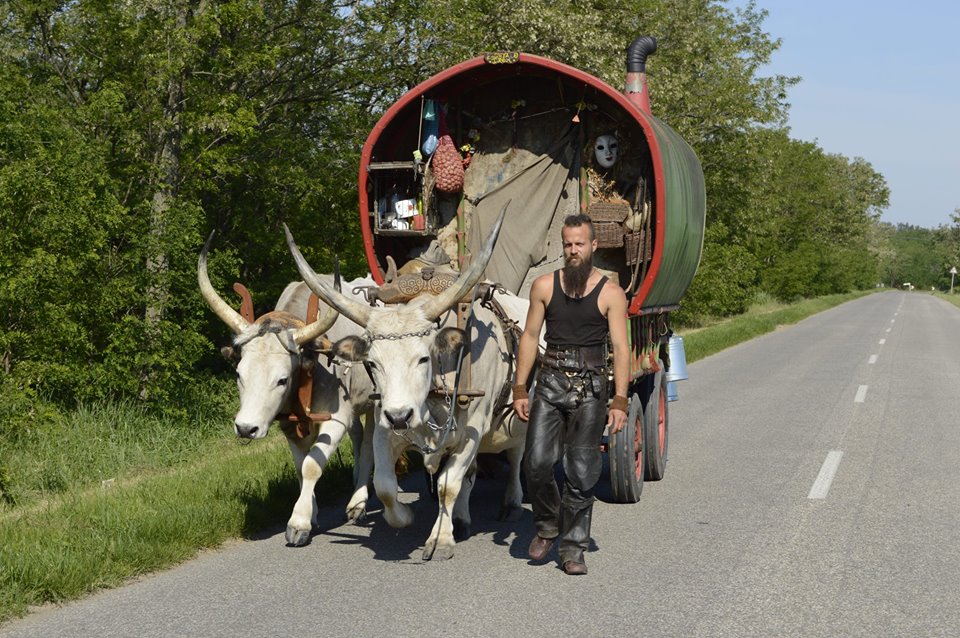 gecsebalazsgergo - Startlap