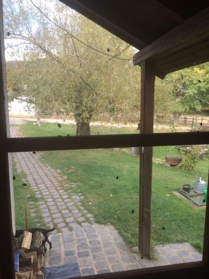 Image from iOS - Startlap