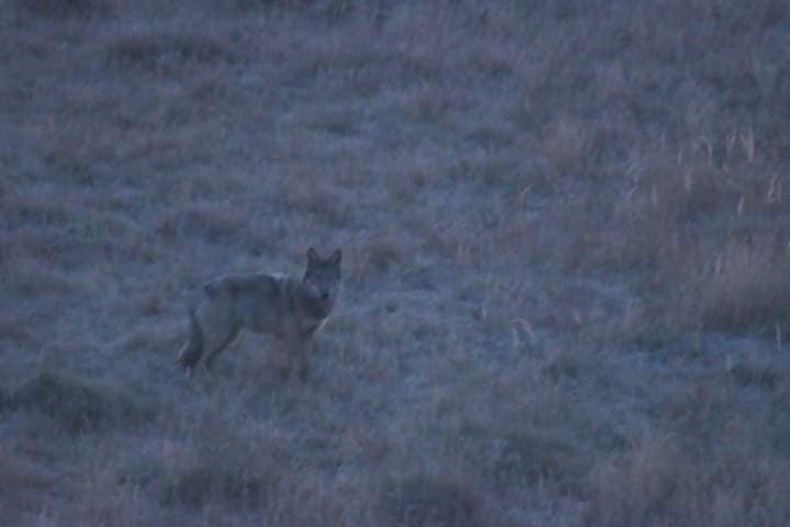 46486313_364615457626064_7968363931330674688_n - Startlap