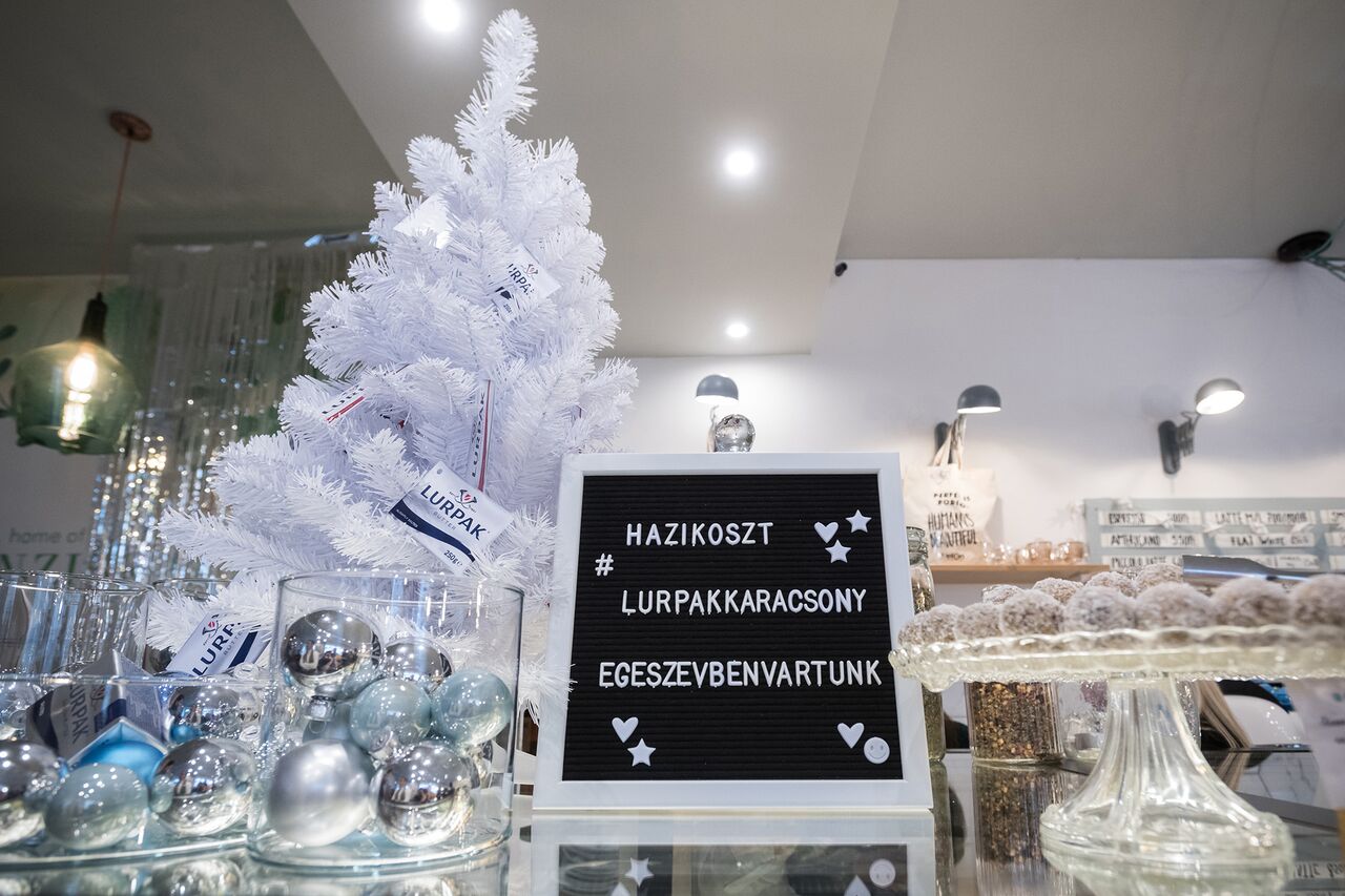 Karai David_Hazikoszt4 - Startlap