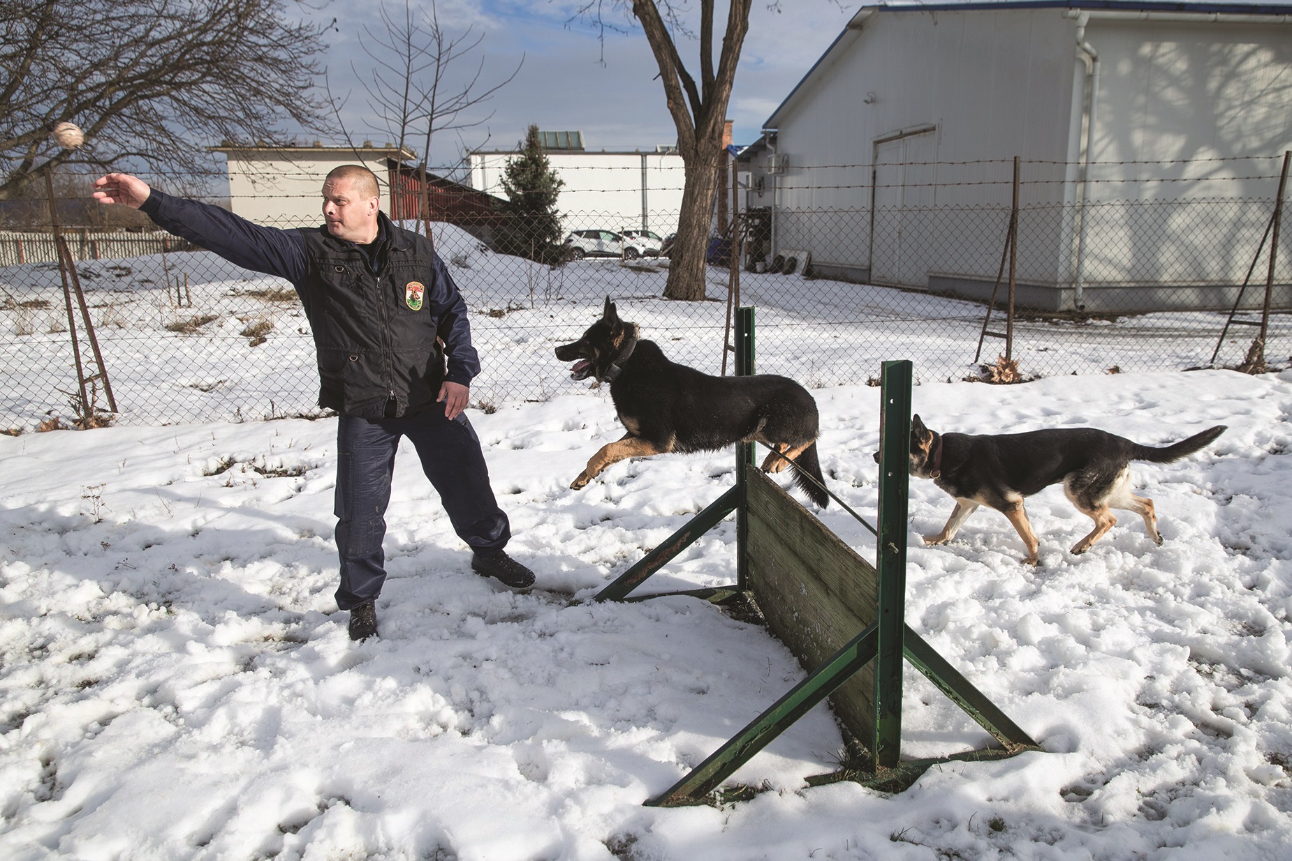 15_Nyiregyhaza-kutyas_Zsadanyi-Mihaly-ftzls_20190116_fm - Startlap