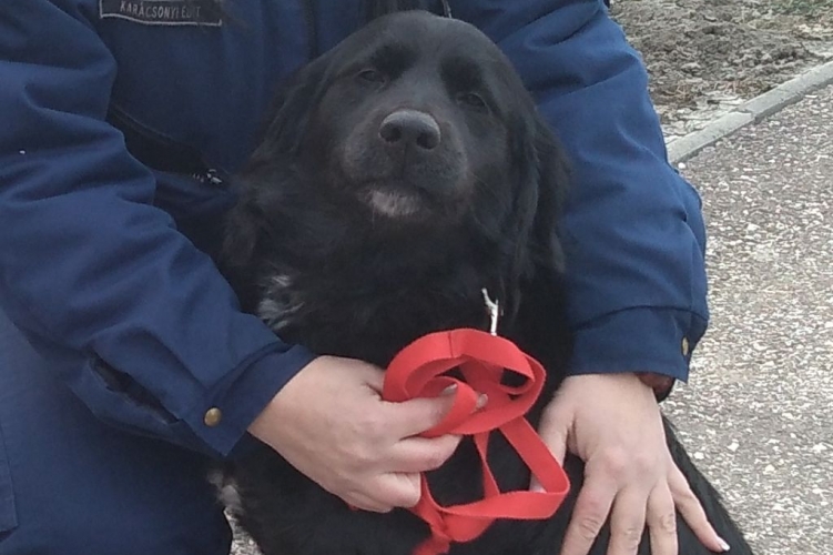 IMG_20190209_1058042 - Startlap