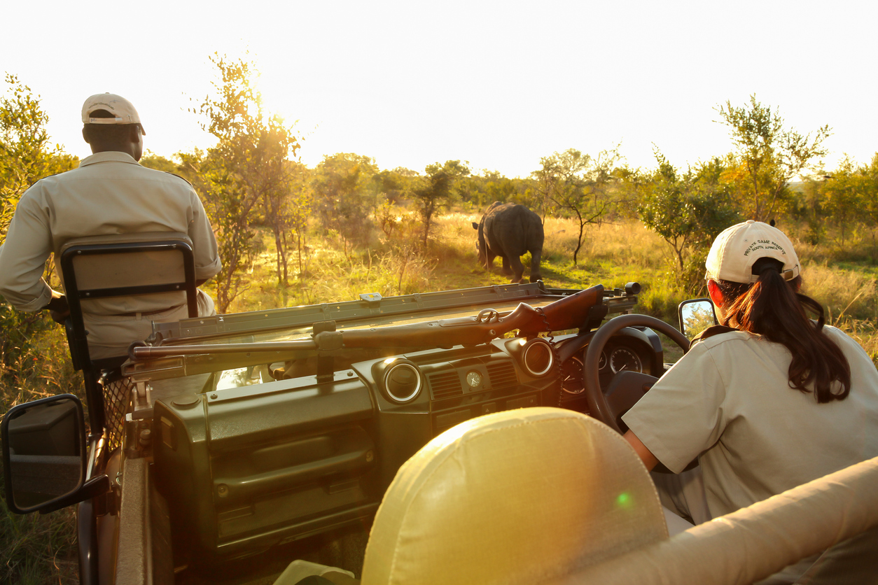 Conservation tracker guide sitting on the front of a safari vehicle looking for animal tracks in a game reserve - Startlap