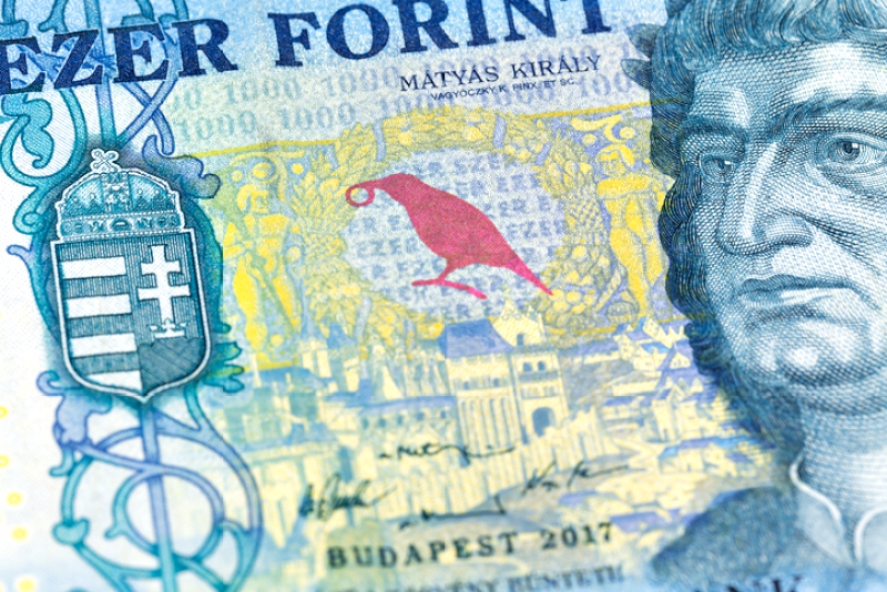 detail of a 1000 hungarian forint banknote indicating growing economics - Startlap