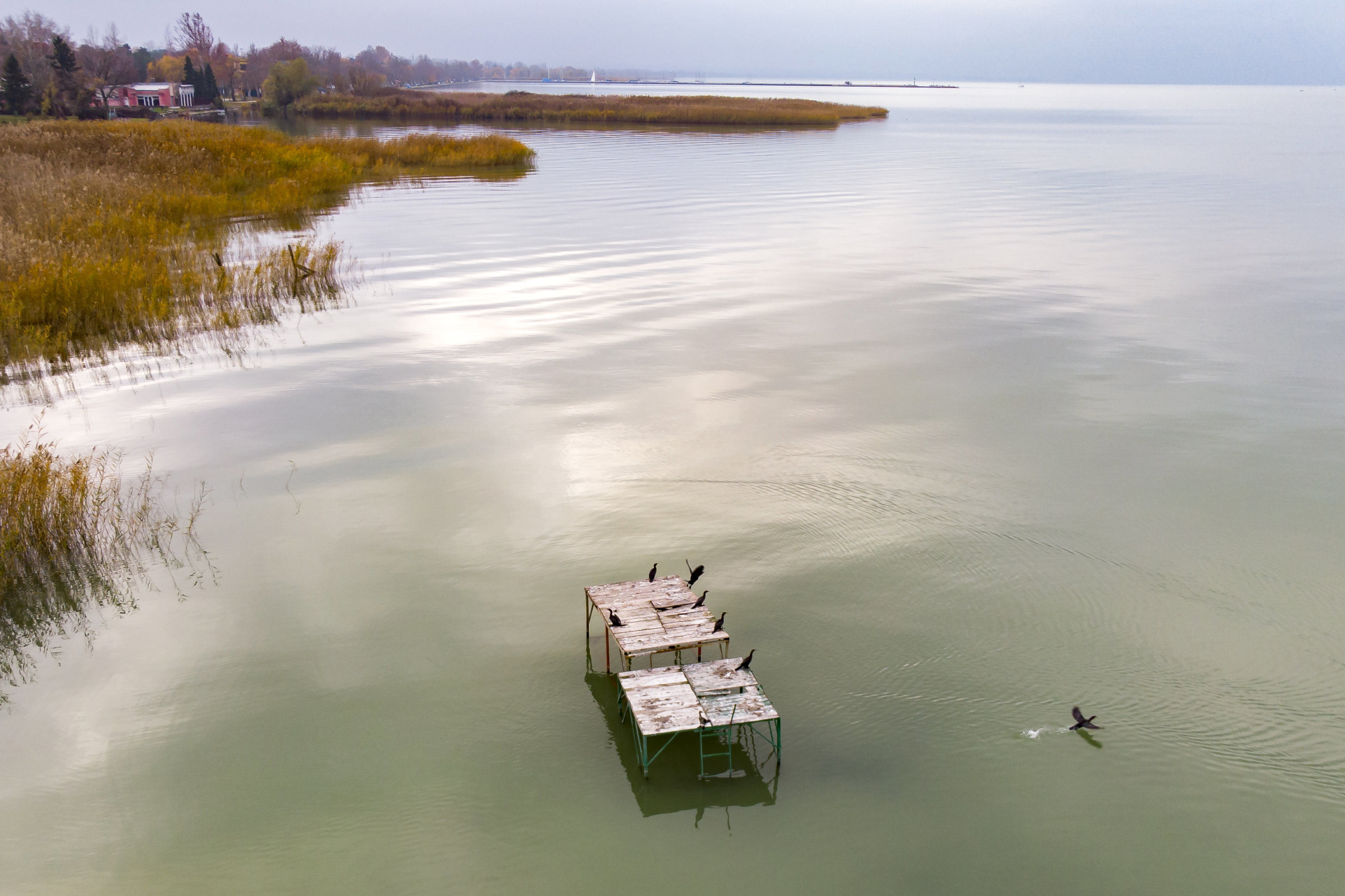Balaton - Stégek - Startlap