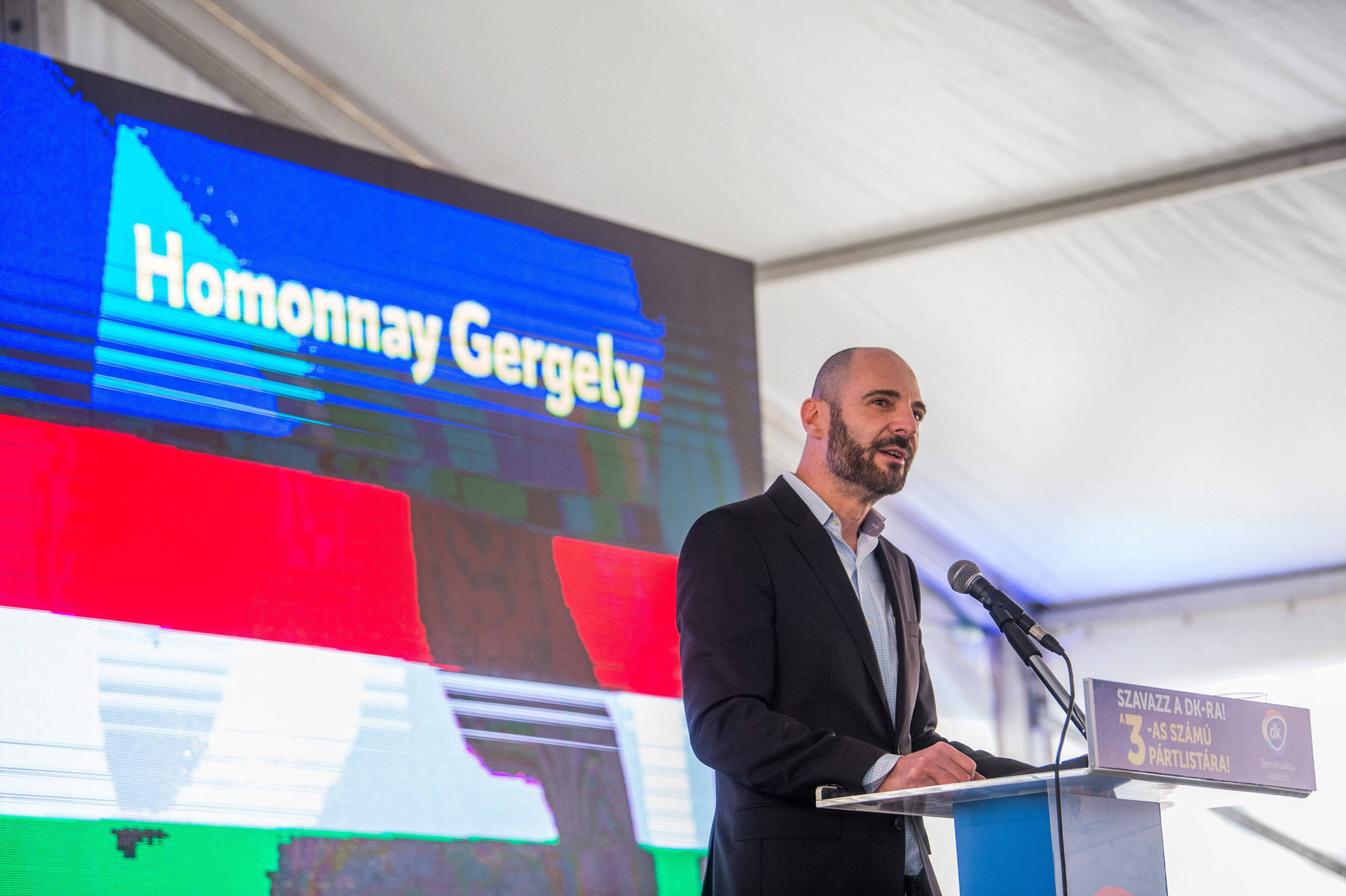 Homonnay Gergely - Startlap