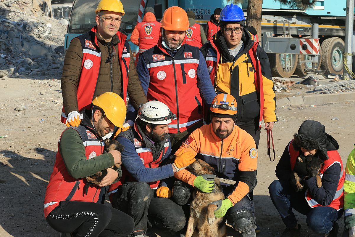 Egy mentőcsapat a romok alól 124 órával a hétfői földrengés után kimentett anyakutyával és két kölykével.