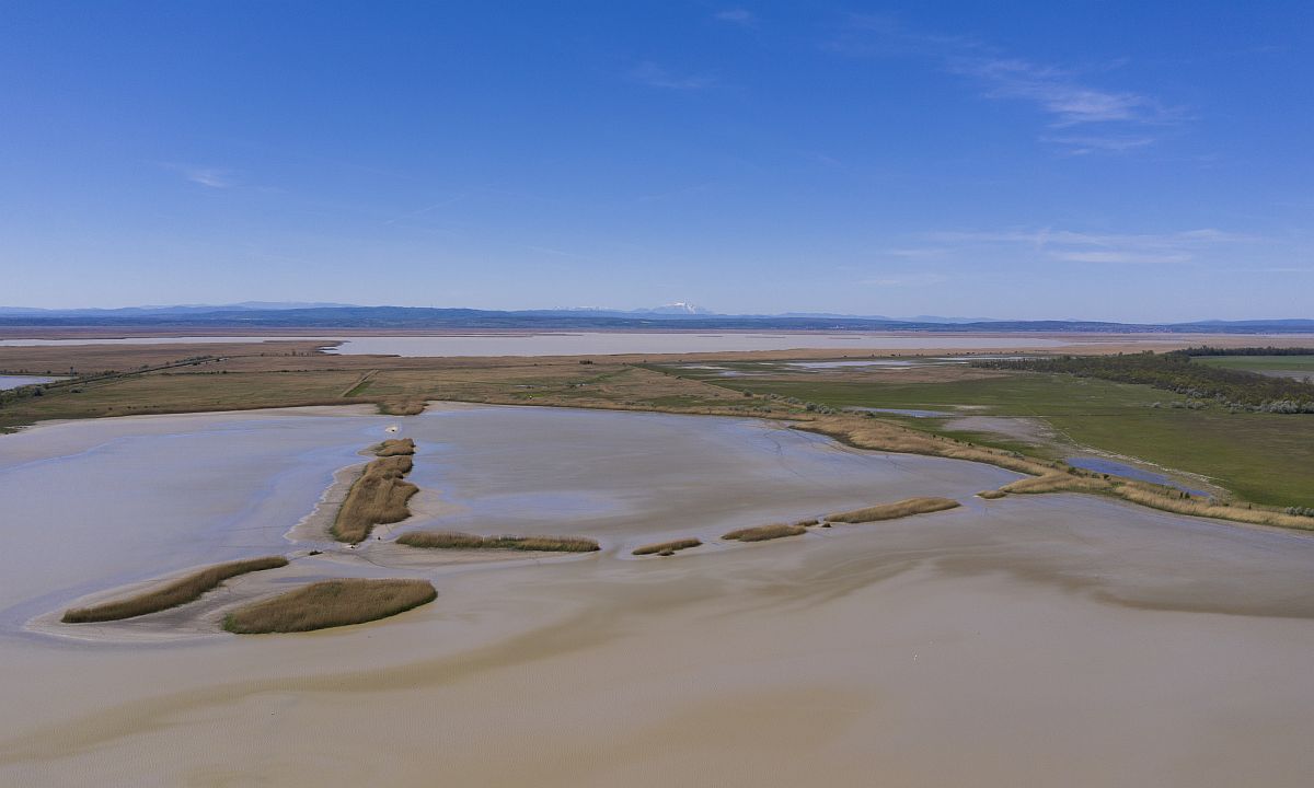 A Fertő-tó Sarród felől fényképezve. A település a Fertő-Hanság Nemzeti Park központja.
