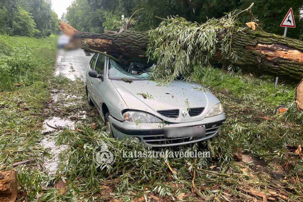 Sokfelé károkat okozott a keddi vihar.
