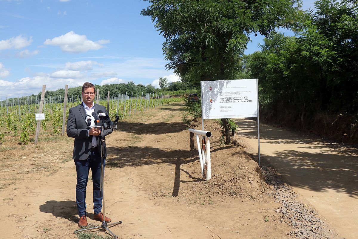 Gulyás gergeély beszél a tarcali dűlőút átadásán.