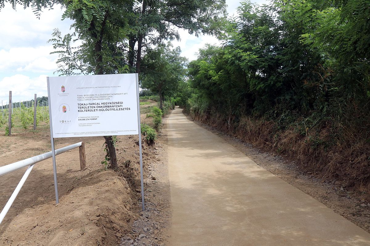 A tarcali dűlőút látképe.