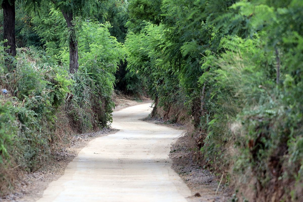 A tarcali dűlőút látképe.