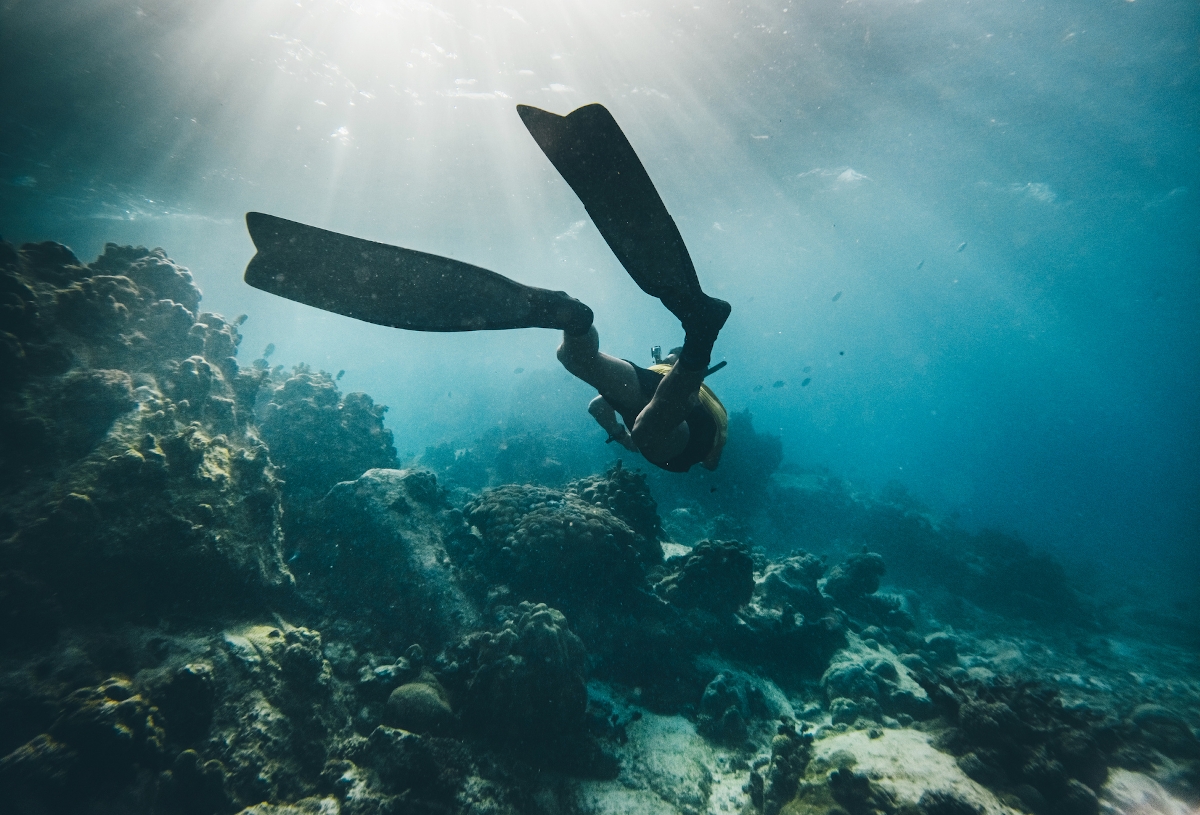Búvár merül a tenger kék vízében