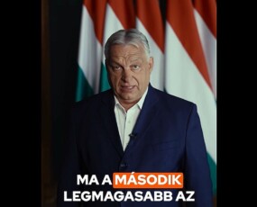 képcím