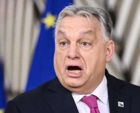 képcím
