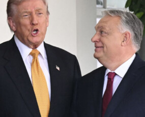 képcím