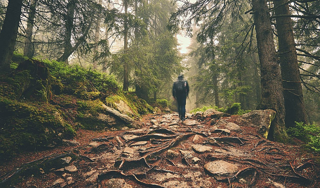 Traveler in mountains - Startlap Utazás
