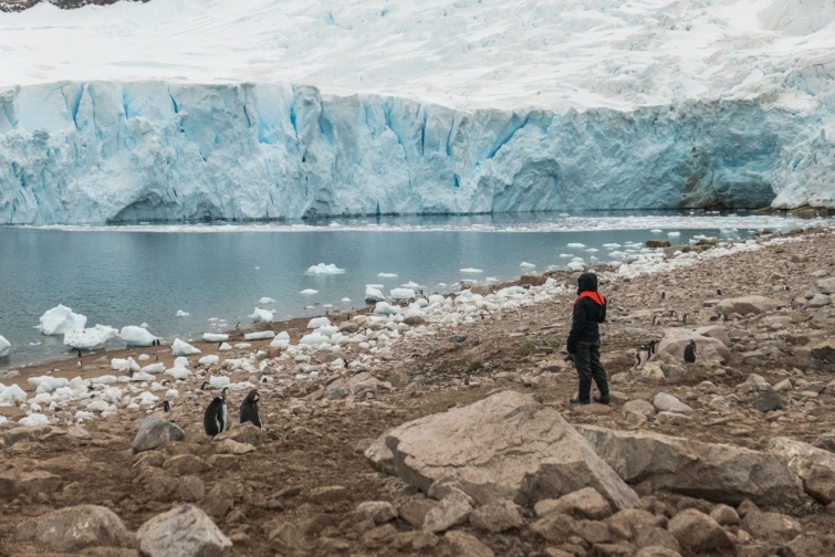 Pingvinek és egy utazó az Antarktiszon