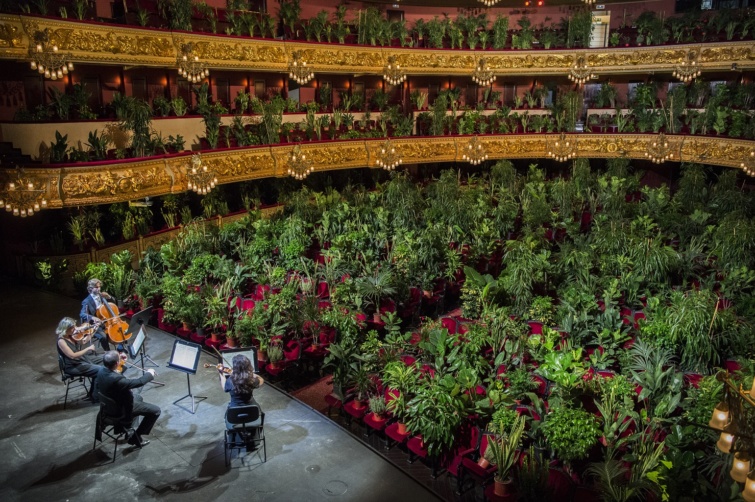 Gran Teatre del Liceu, Barcelona