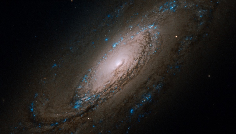 Az NGC 5005 nevű spirálgalaxis.