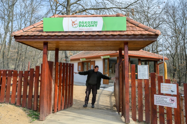 pákozdi sukorói arboretum de balaine