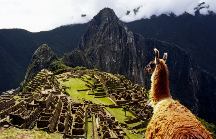 A Machu Picchu lámával.