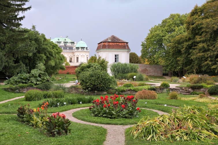 A Bécsi Egyetem botanikus kertje.
