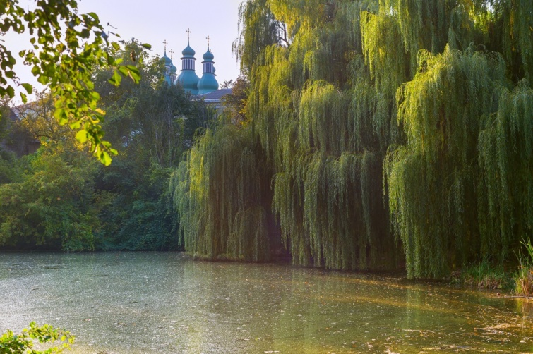 A Holosziivszkij park Kijevben.