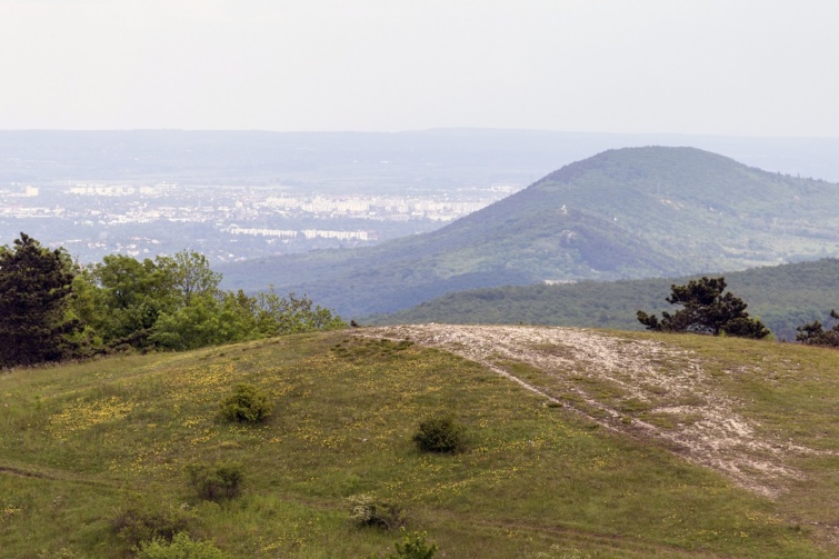 A Nagy-Szénás tetején.