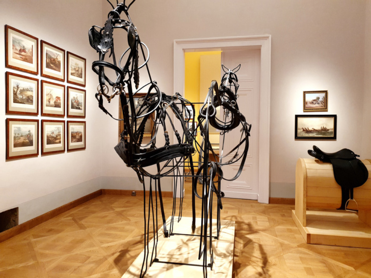 Sándor-Metternich-kastély, Bajna