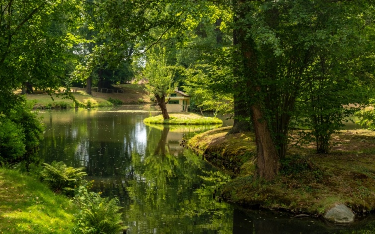 Spreewald varázslatos csatornáinak egyike