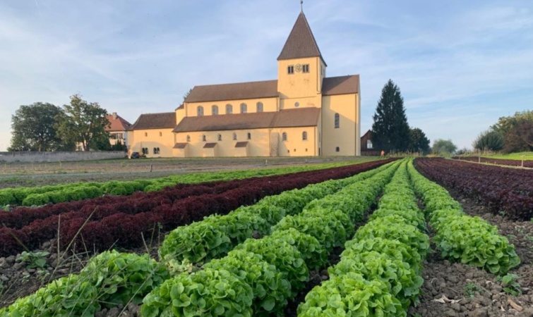 Reichenau sziget temploma_batch