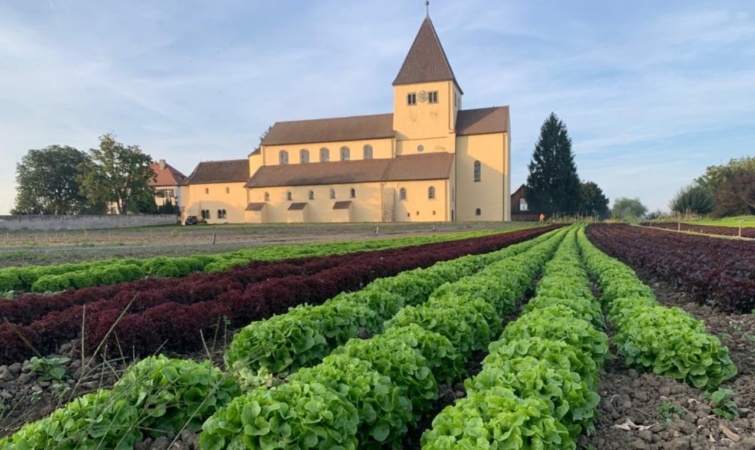 Reichenau sziget temploma_batch