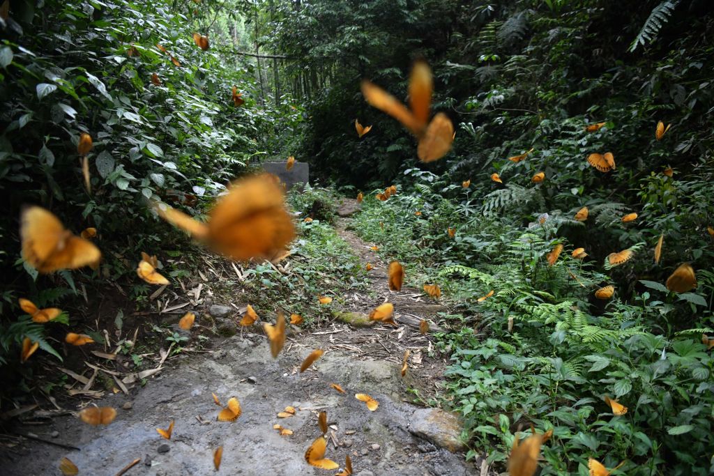 Elképesztő látvány a kínai tartományban