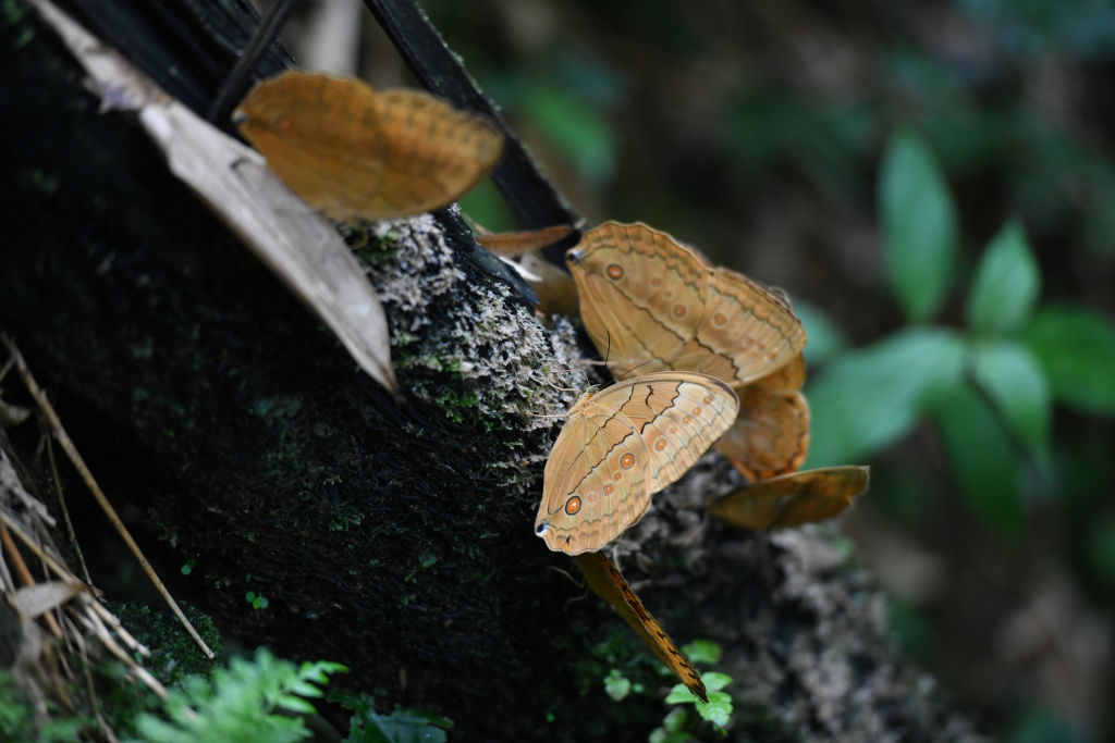Turisták ezreit várják