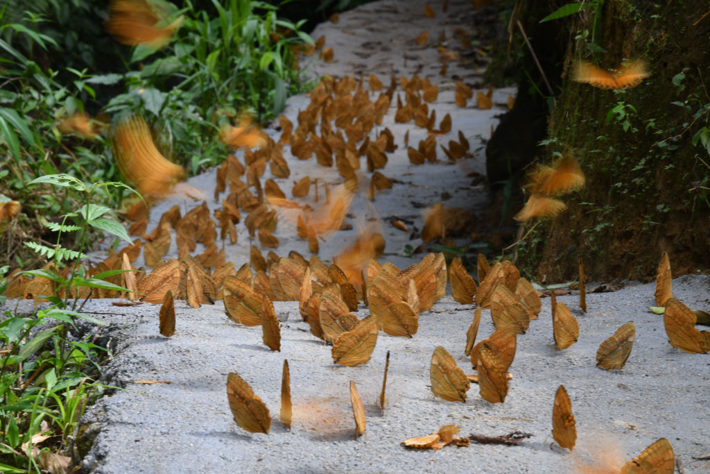 Csodálatos látvány Kínában