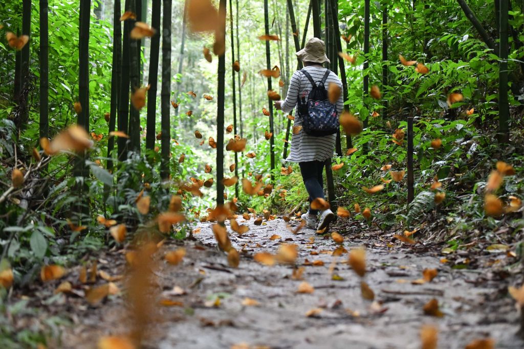 A helyiek rengeteg turistát várnak