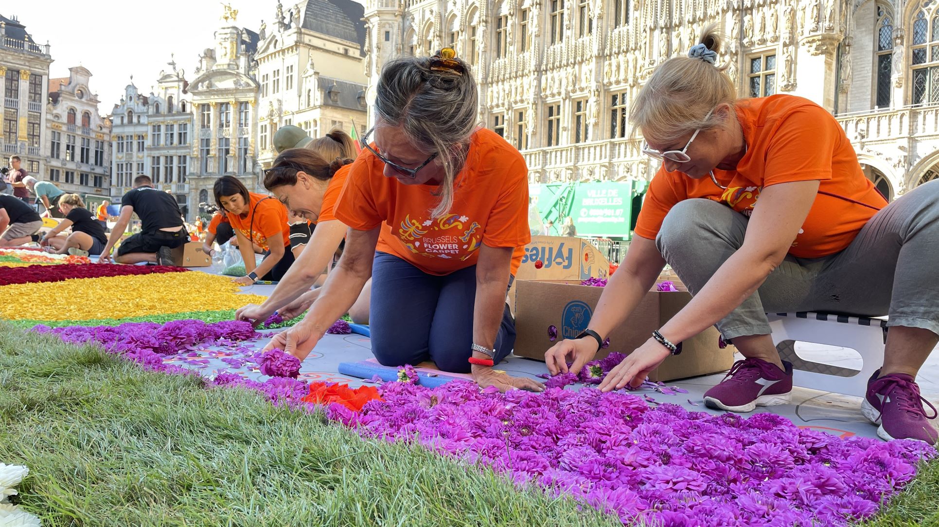 Brüsszeli virágszőnyeg