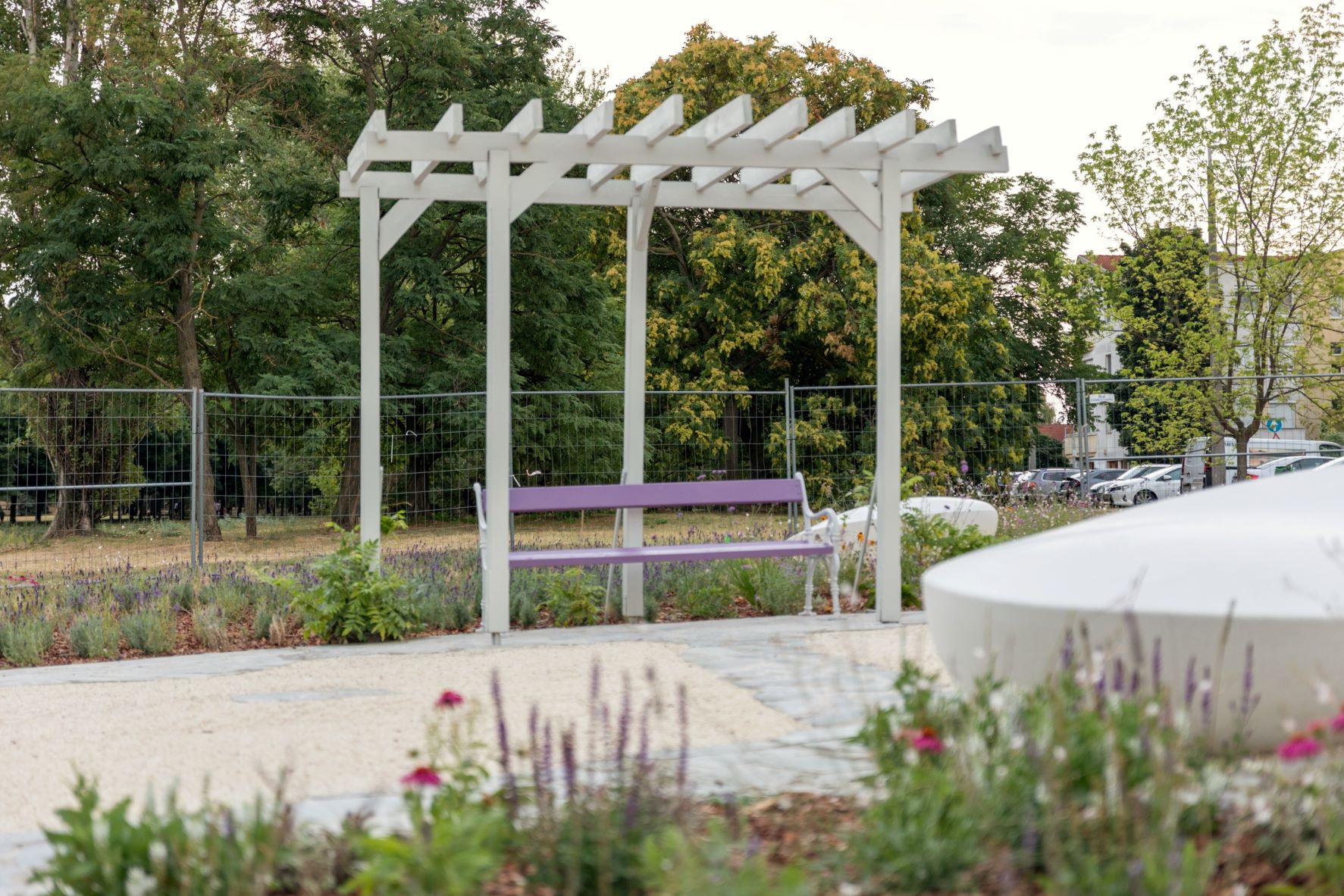 Megnyílt Budapest első levendulaparkja