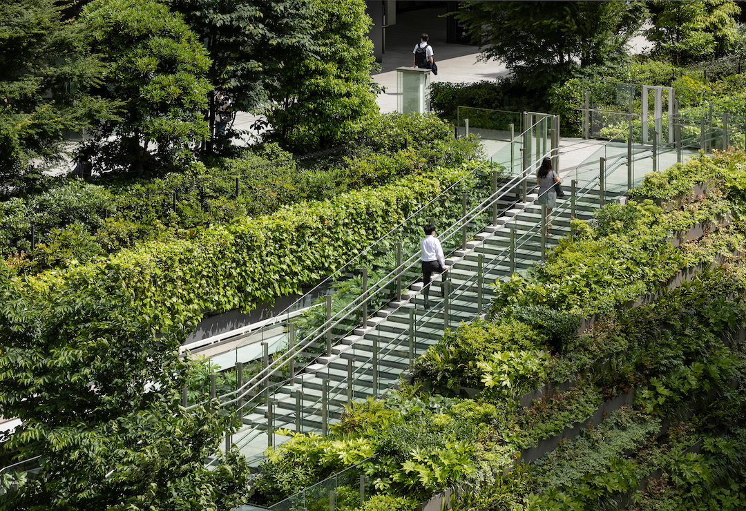 7800 négyzetméternyi zöldfelületet jelent Tokiónak az épület