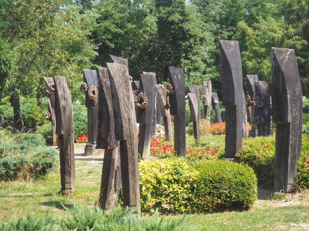 Szatmárcseke - Kölcsey sírja a csónakos temetőben
