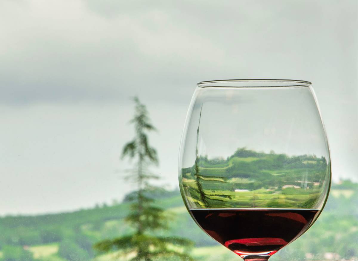 Egy pohár boron át látható a hegyvidék