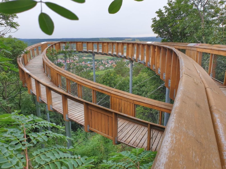 Lombkorona-tanösvény Pannonhalmán