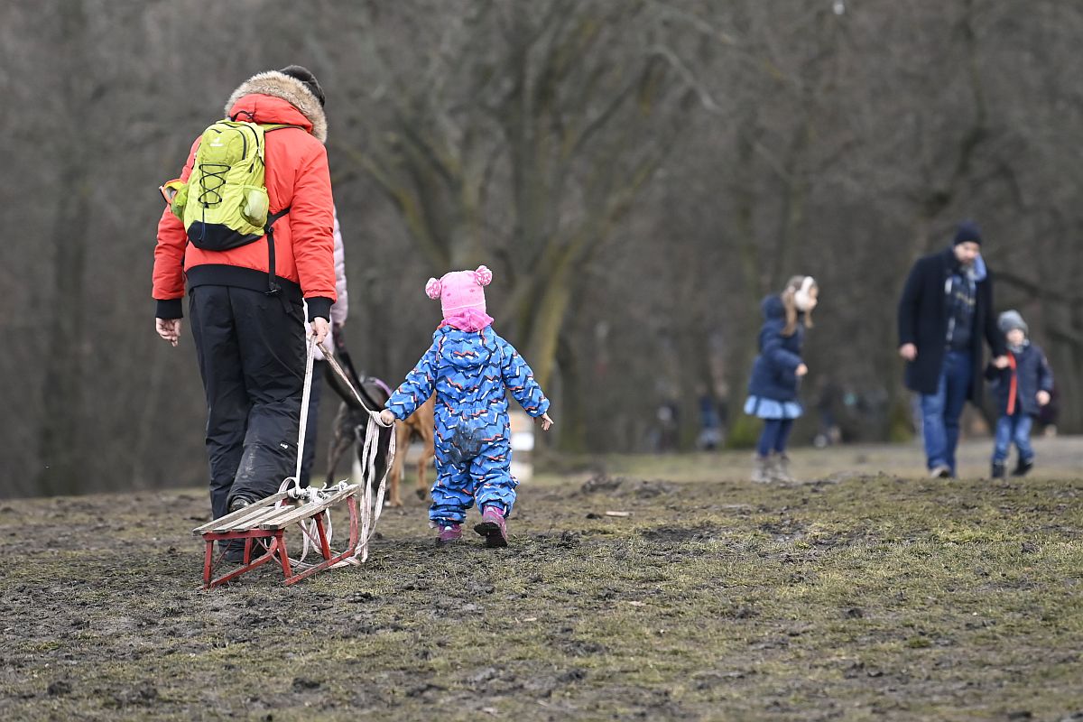 Normafa - Startlap Utazás Szánkópálya a budapesti Normafánál 2023. január 1-jén