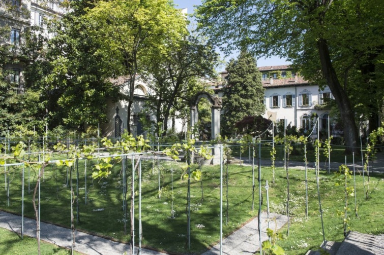 A szőlőskert és a tizenötödik században épült villa