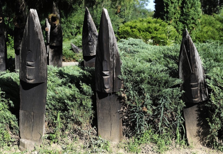 Fejfák a szatmárcsekei csónakos fejfás református temetőben 