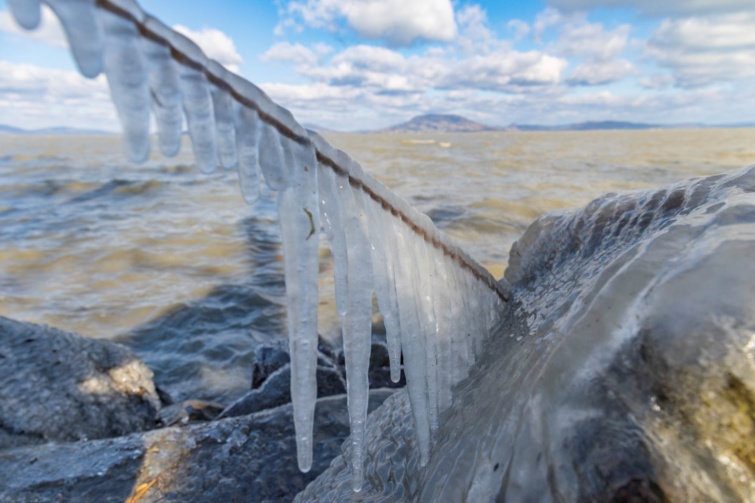 Nádra fagyott jégcsapok a Balaton partján Balatonfenyvesnél