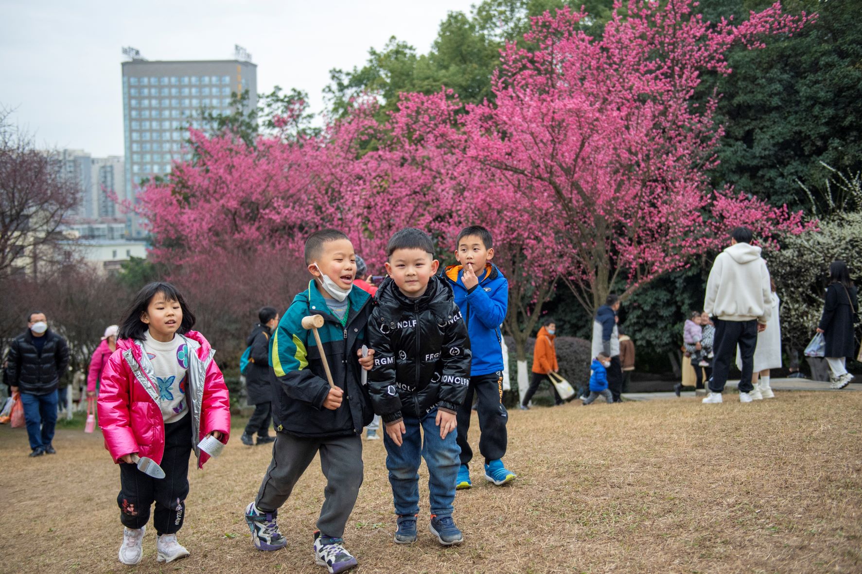 Gyerekek játszanak a virágzó szilvafák között a kínai Wangjiang Parkban