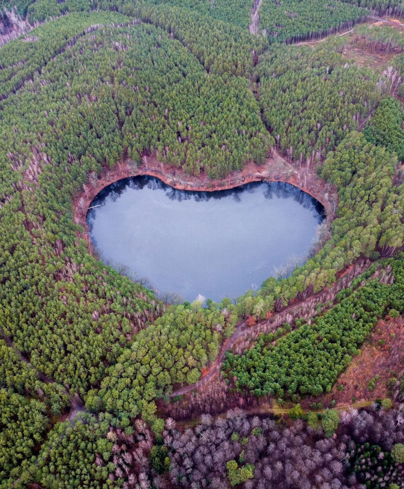 Szív alakú tó Lengyelországban