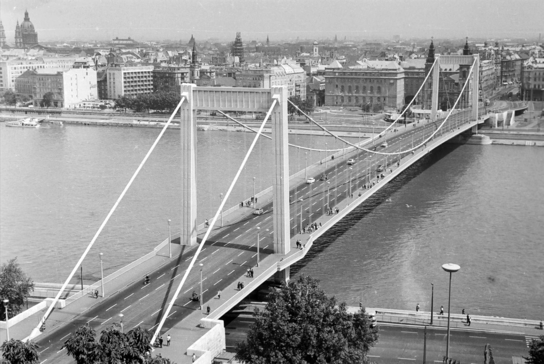 Erzsébet híd a Gellért-hegyről nézve, 1965